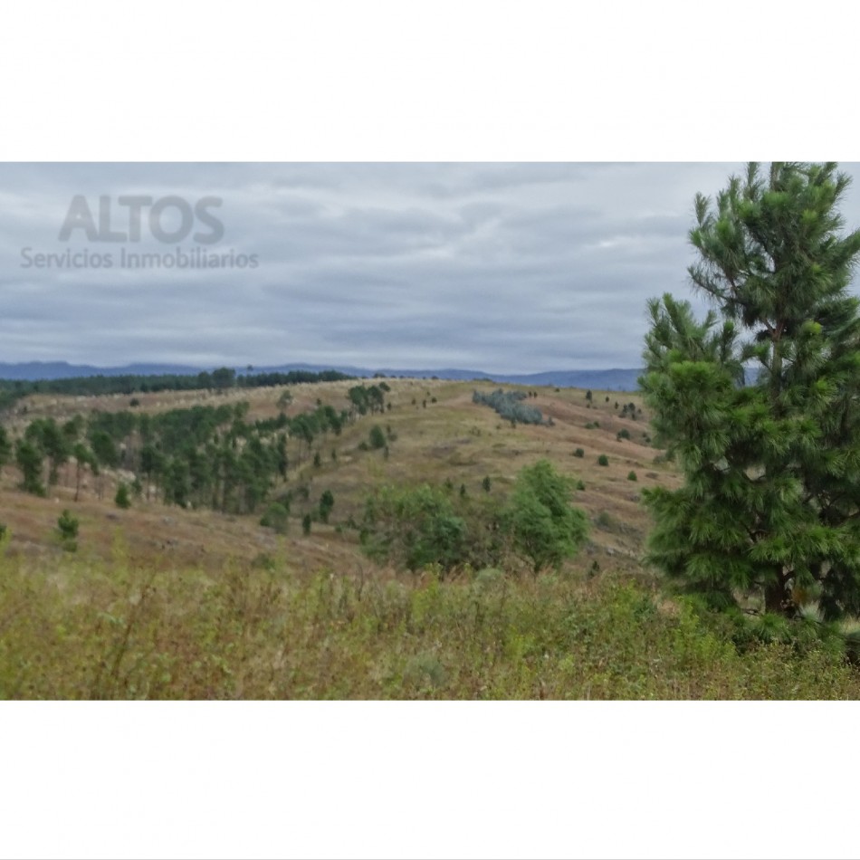 LOMA DE TIGRE 2.525 MTS2,EXCELENTE VISTA. ESCRITURA. LOS REARTES, PROVINCIA CORDOBA