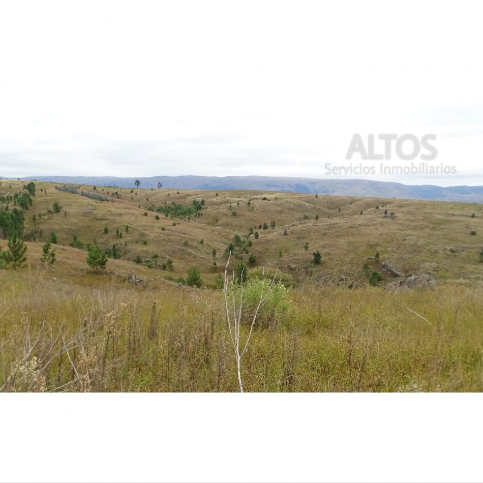 LOMA DE TIGRE 2.525 MTS2,EXCELENTE VISTA. ESCRITURA. LOS REARTES, PROVINCIA CORDOBA