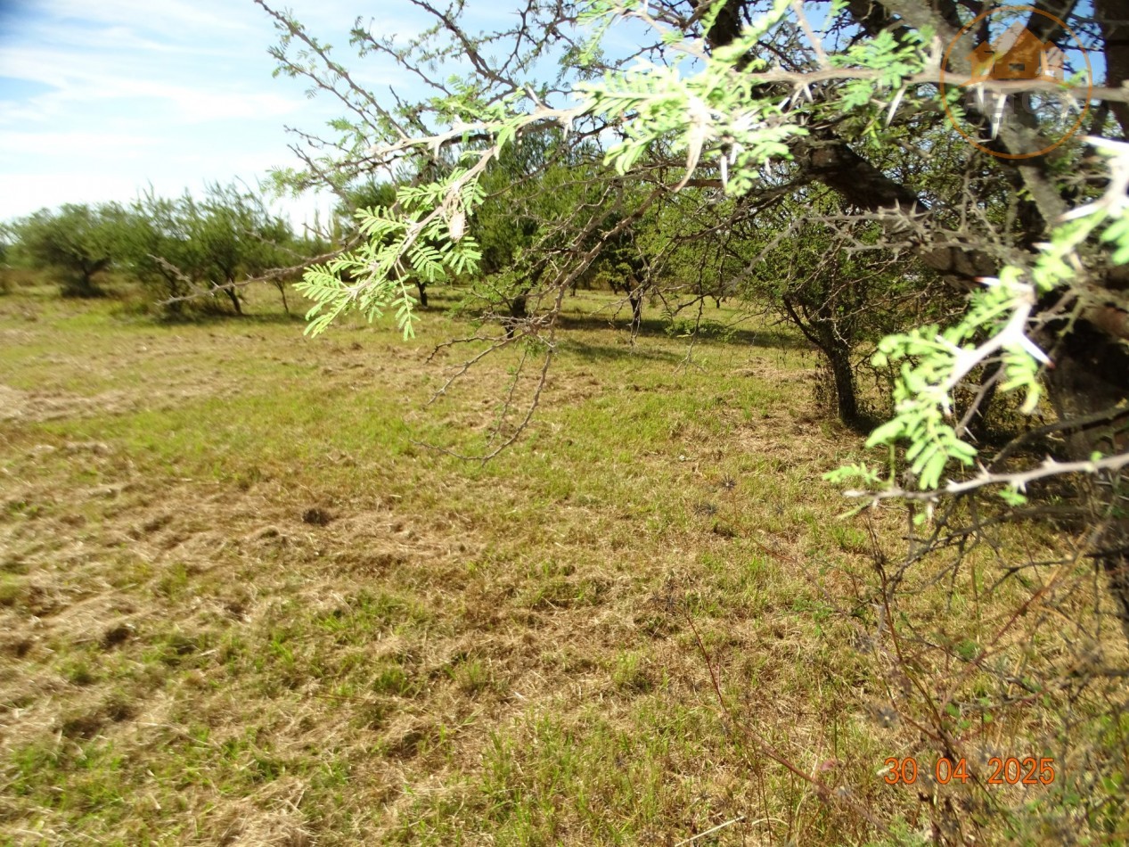 POTRERO DE GARAY-TERRENOS MUY CERCA DEL LAGO LOS MOLINOS EN BARRIO DEL LAGO-CORDOBA-ESCRITURA