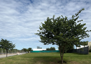 HERMOSO TERRENO ESQUINA 1.159M2 - BARRIO CERRADO LA CERCANIA -MENDIOLAZA - CORDOBA - CON ESCRITURA.